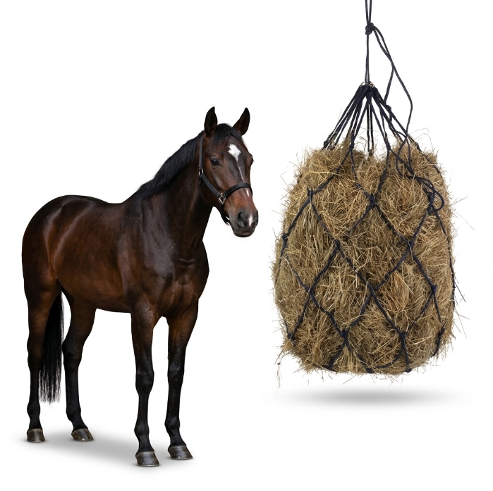 Horse with full hay net